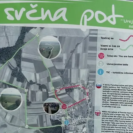 Pika Moravske-Toplice