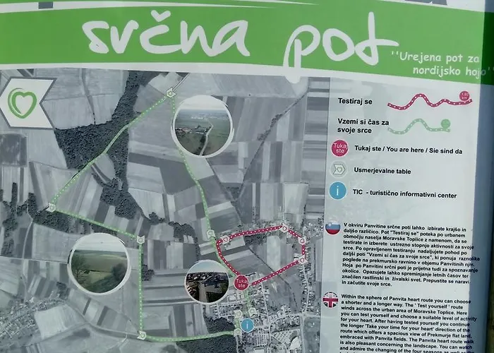 Pika مورفسكه تيبليتسه